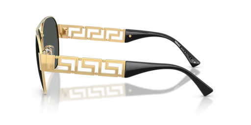 VERSACE 0VE2289