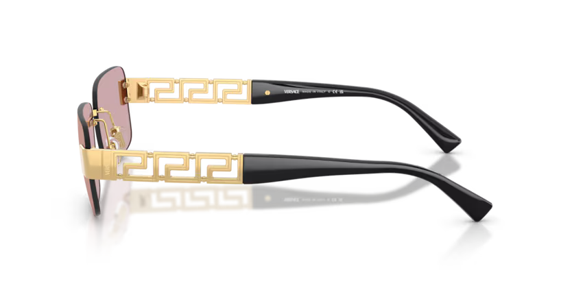 VERSACE 0VE2298