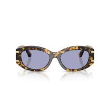DOLCE E GABBANA DG4502